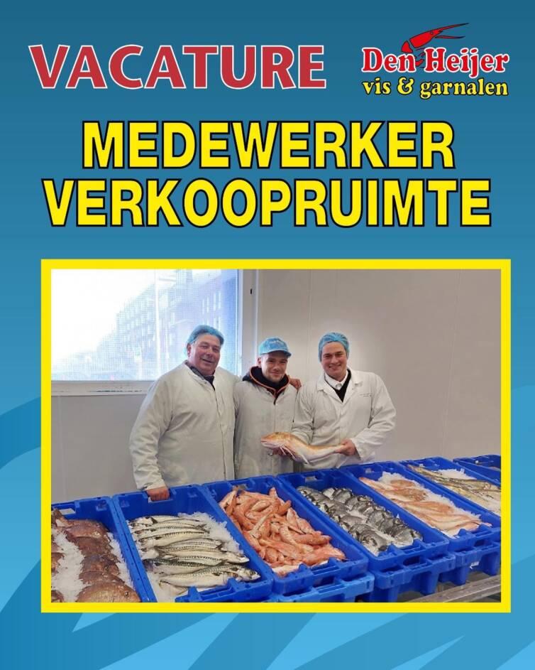 De Grote Verwarring Uitgelegd! (scampi, Gamba, Langoustine Of Langoeste ...